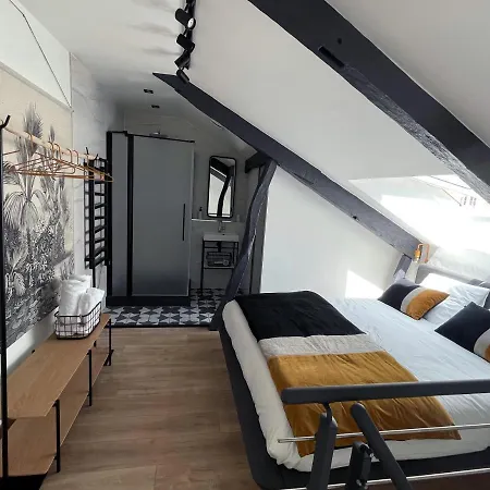 Monsieur Laroche - Duplex Centre-ville Apartment Vannes