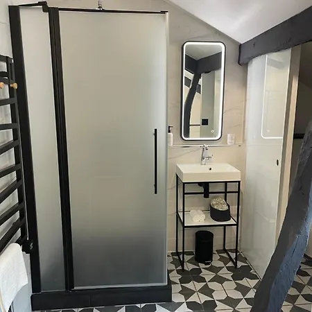 Apartment Monsieur Laroche - Duplex Centre-ville