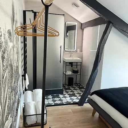 Apartment Monsieur Laroche - Duplex Centre-ville