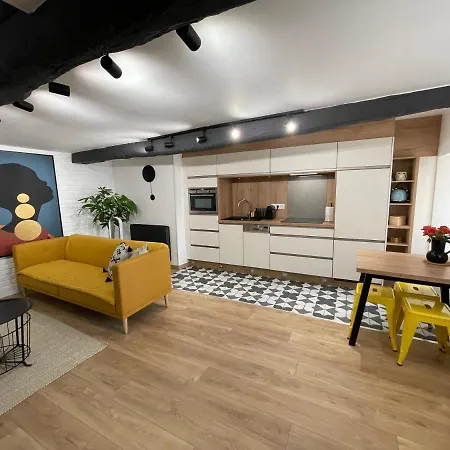 Monsieur Laroche - Duplex Centre-ville *