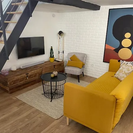 Monsieur Laroche - Duplex Centre-ville Apartment