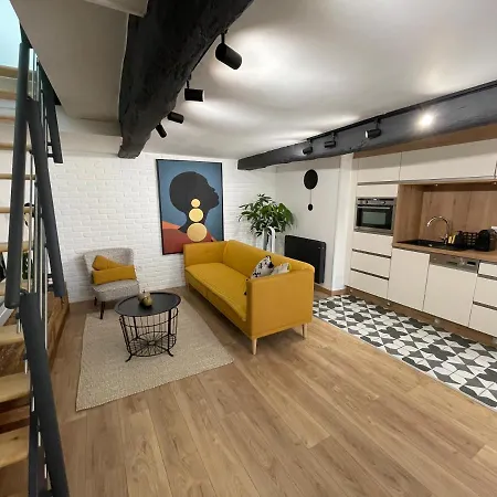 Monsieur Laroche - Duplex Centre-ville