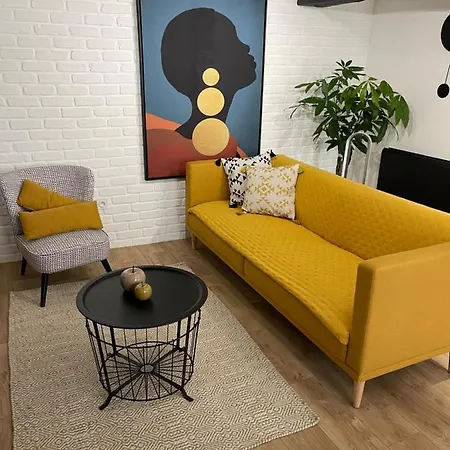 Monsieur Laroche - Duplex Centre-ville * Vannes